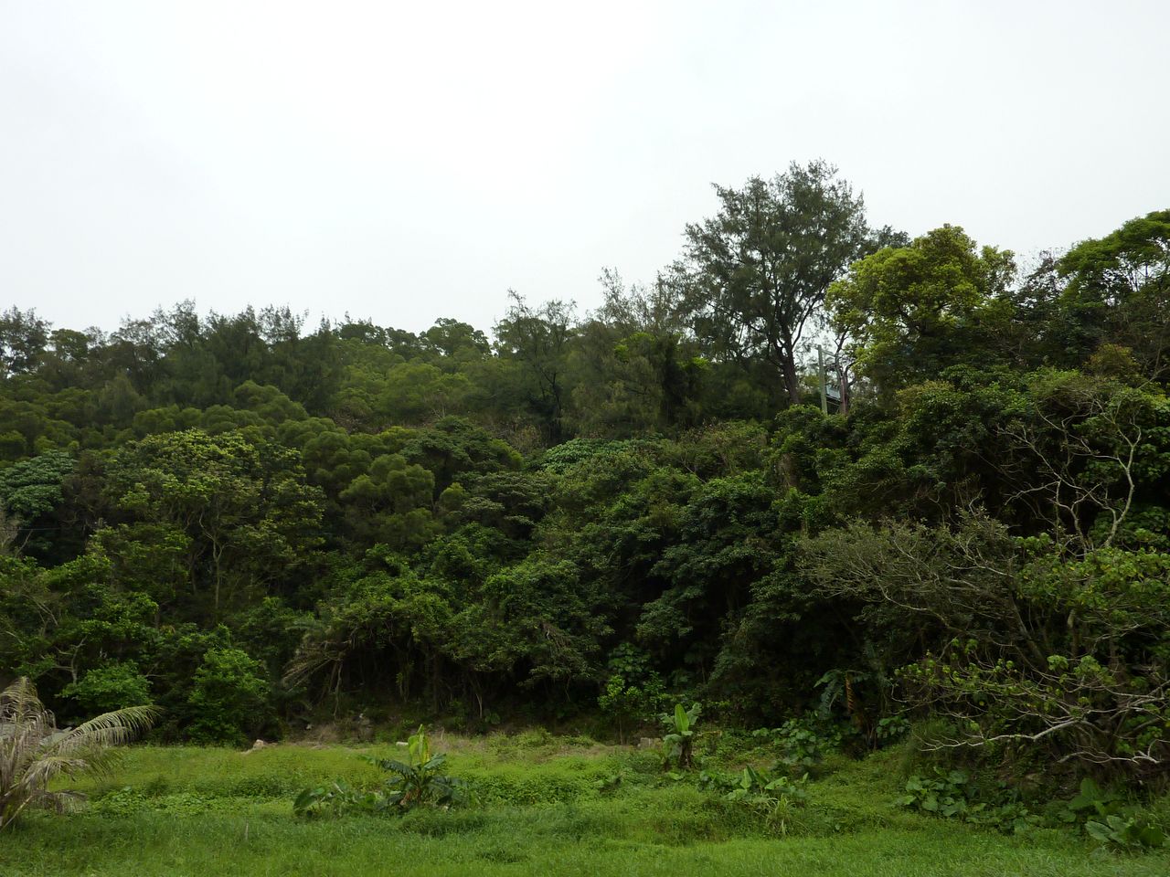 P1050282