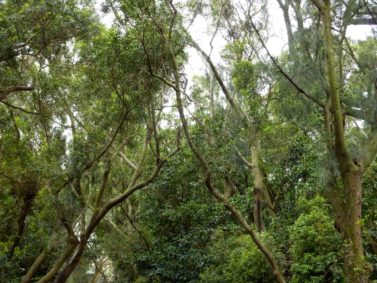 P1050299