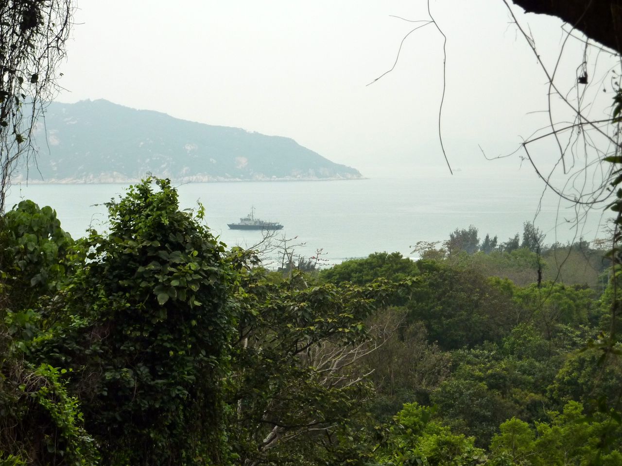 P1050302
