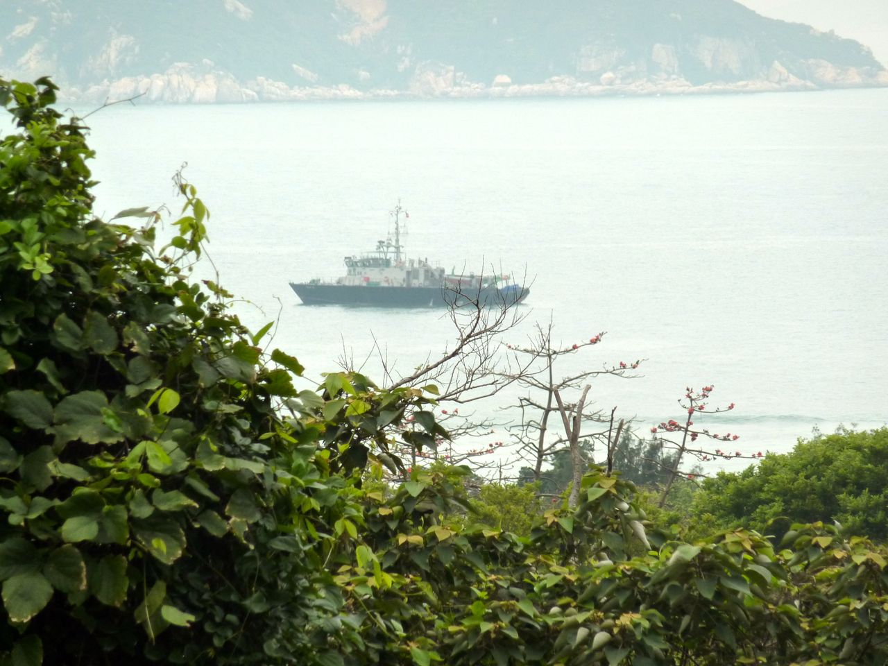 P1050305