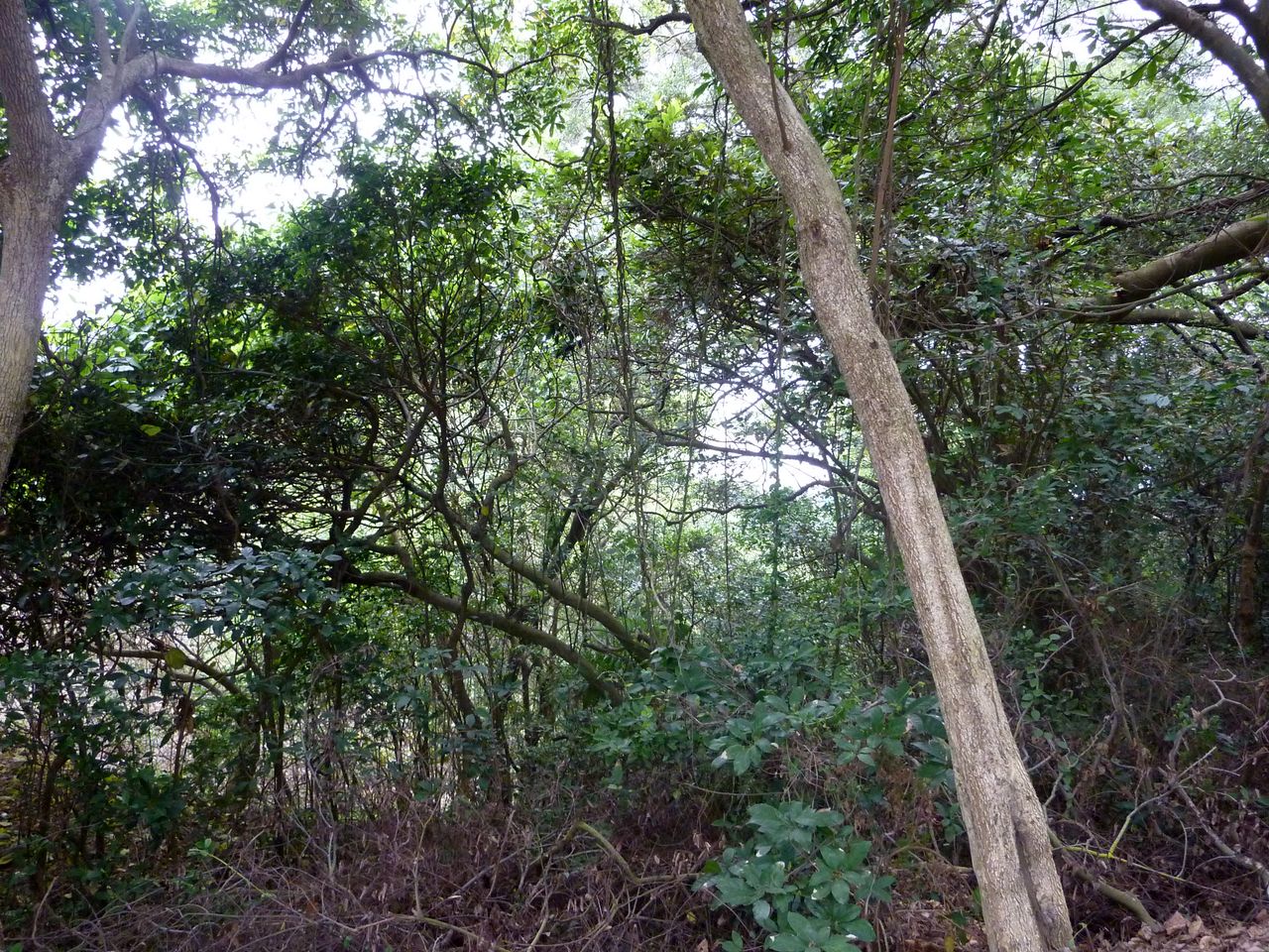 P1050314