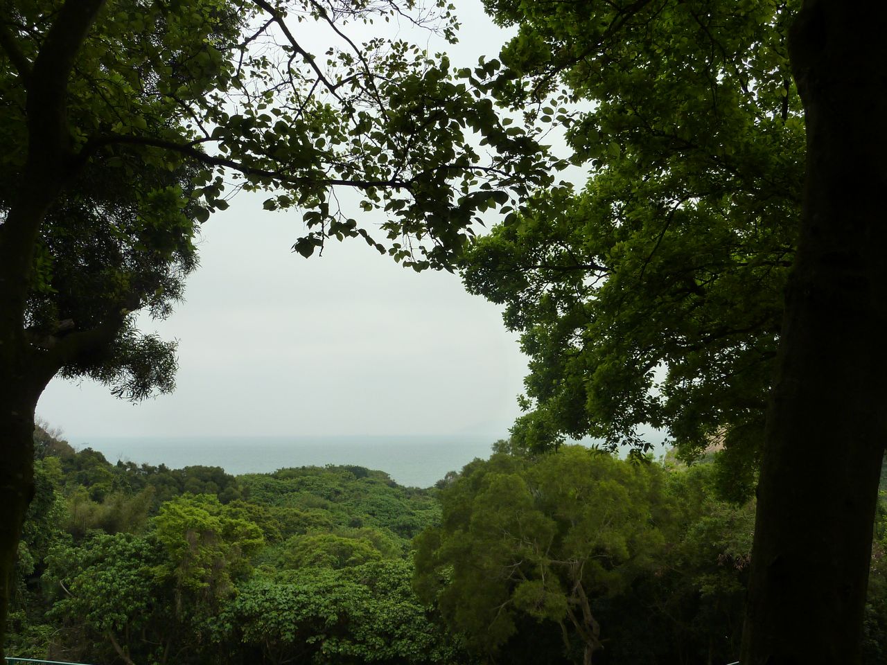 P1050317