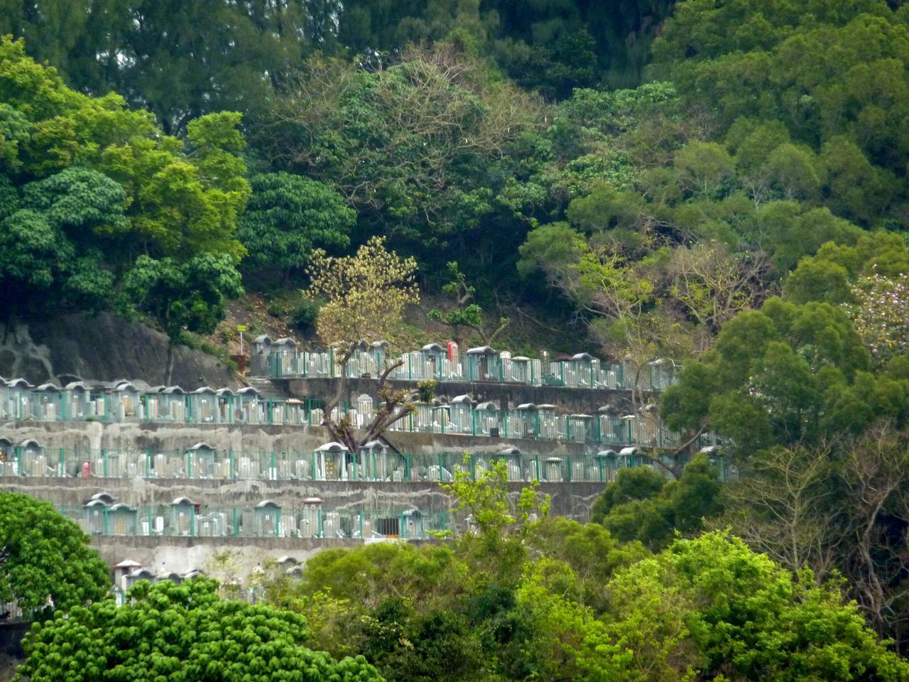 P1050369