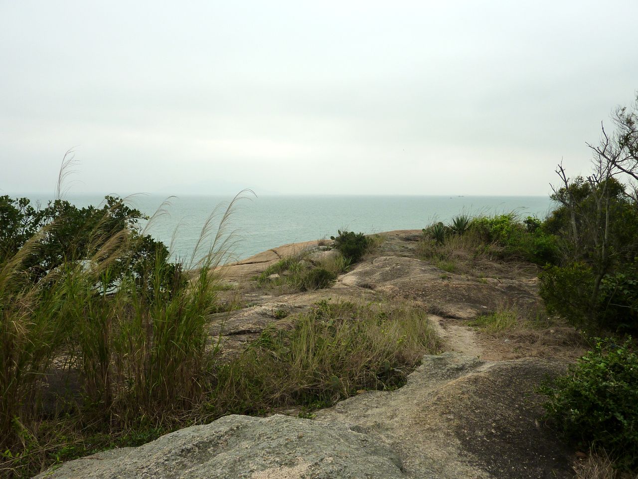 P1050371