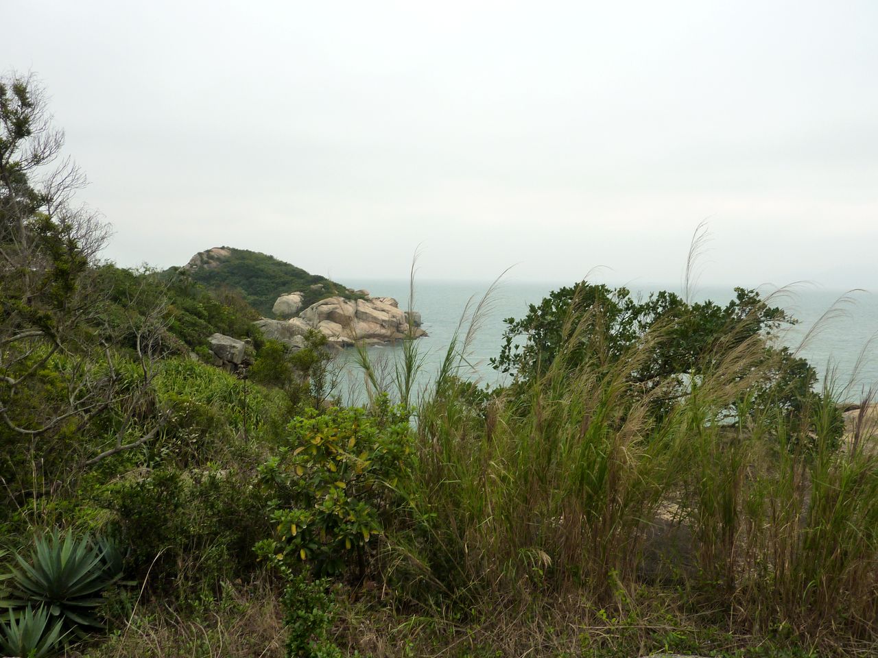 P1050374