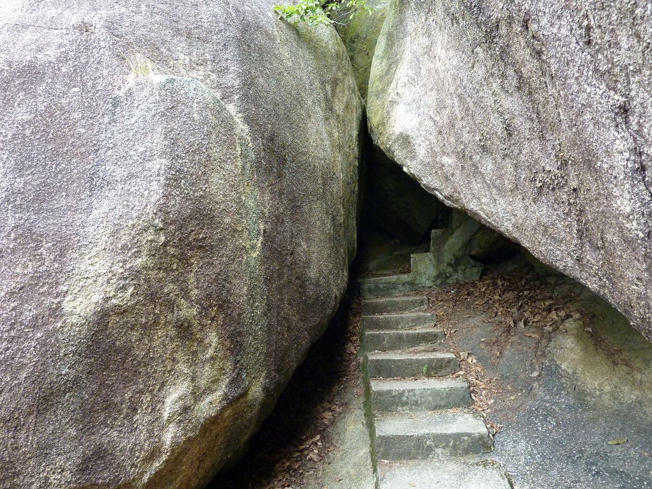 P1050419