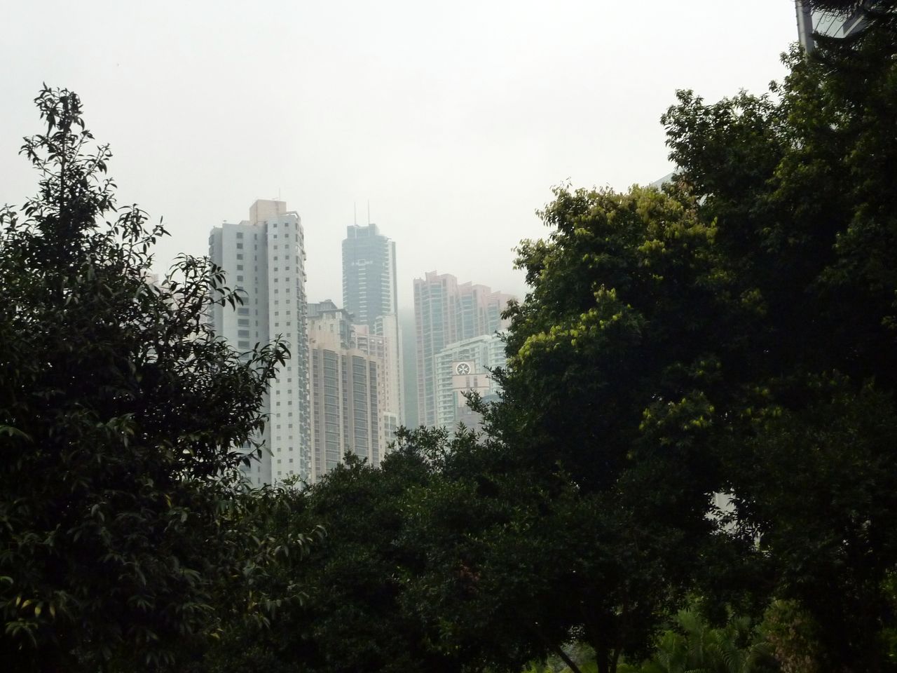 P1050473