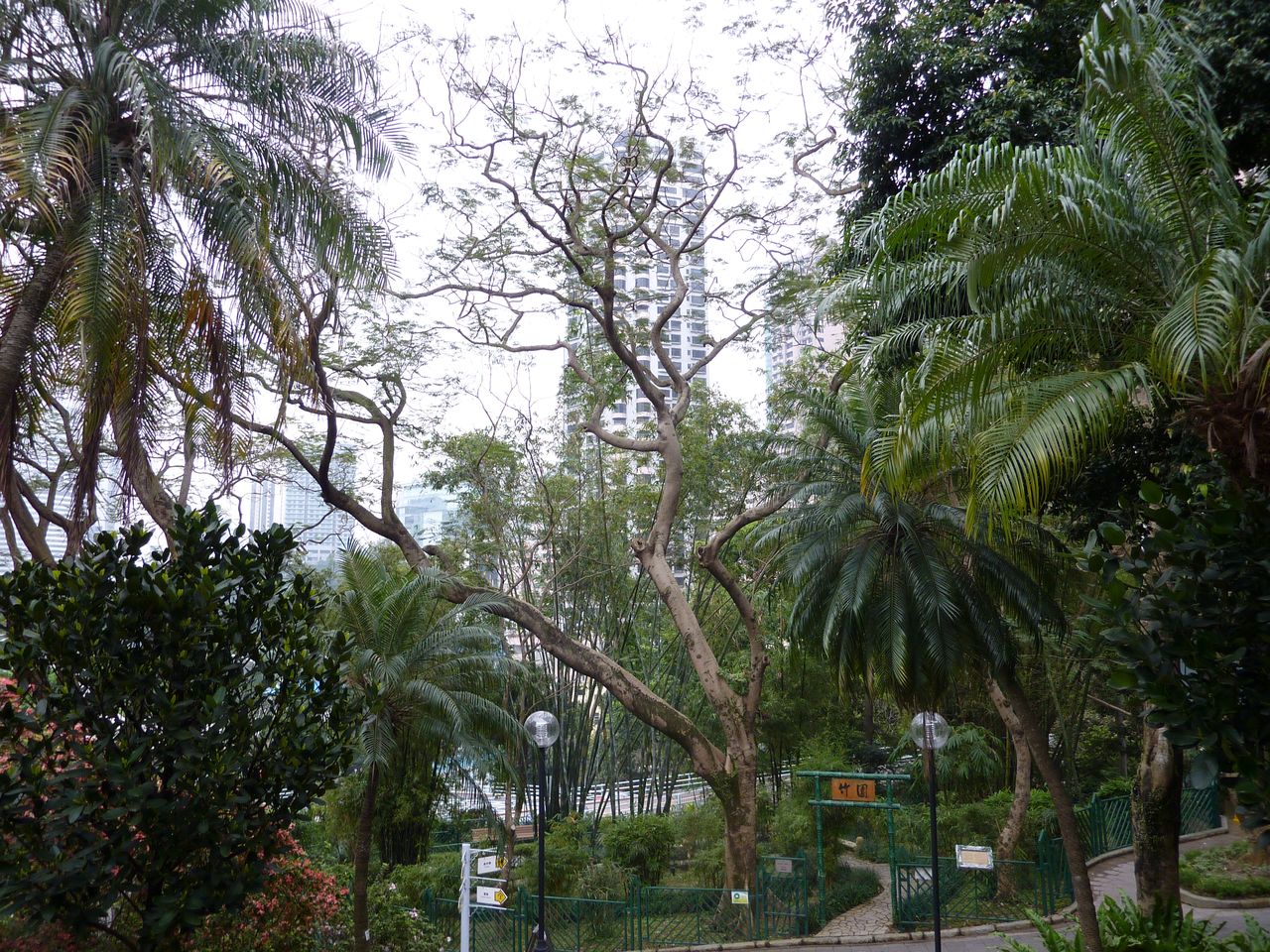 P1050560