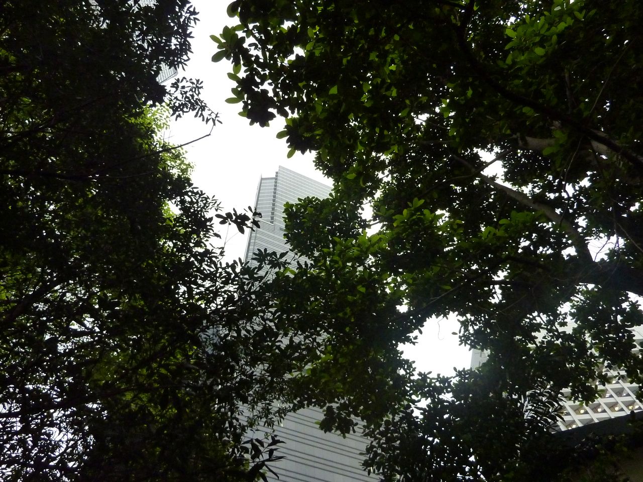 P1050581